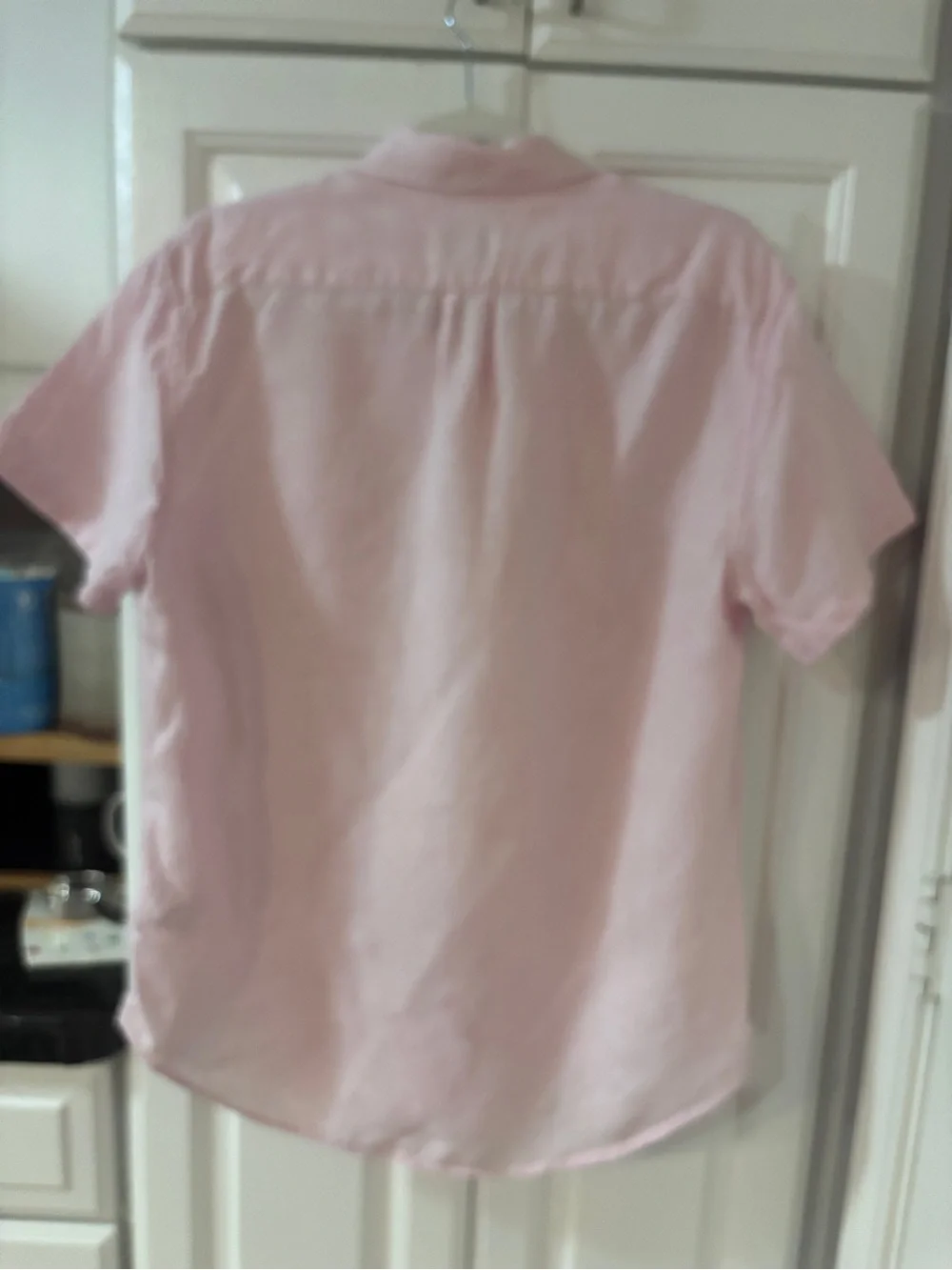 J. Crew Men's Short-Sleeve Button-Down Shirt in Light Pink